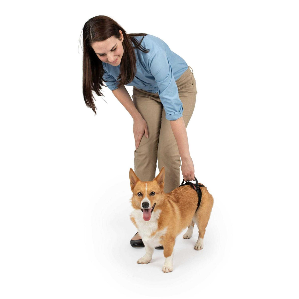 Dog Rear Harness W9310