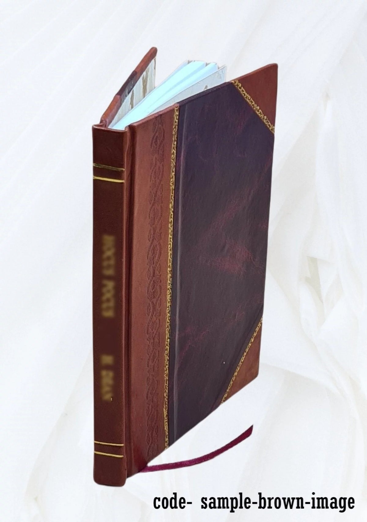 Moravian Chronicle 1749-1767 Leather Bound R35357