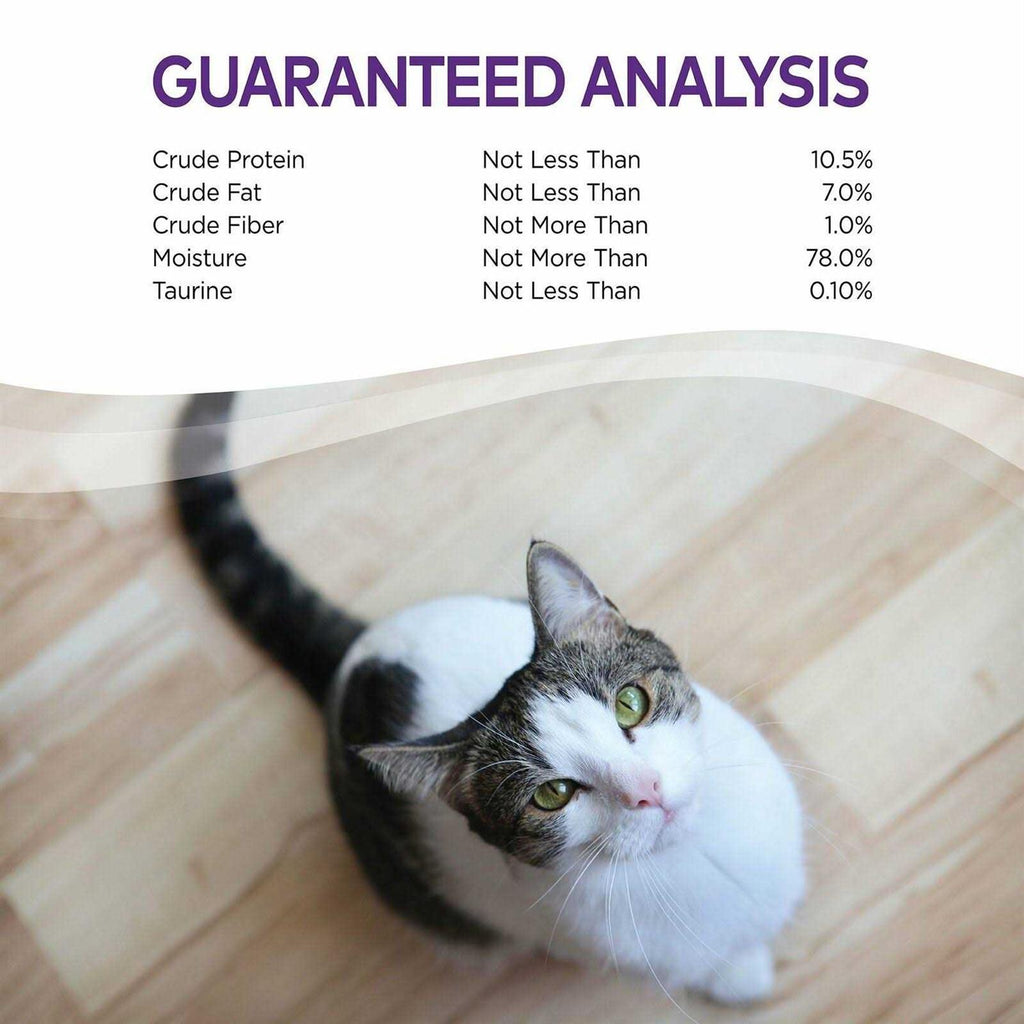 Complete Health Pâté Pet Supplies Q9012