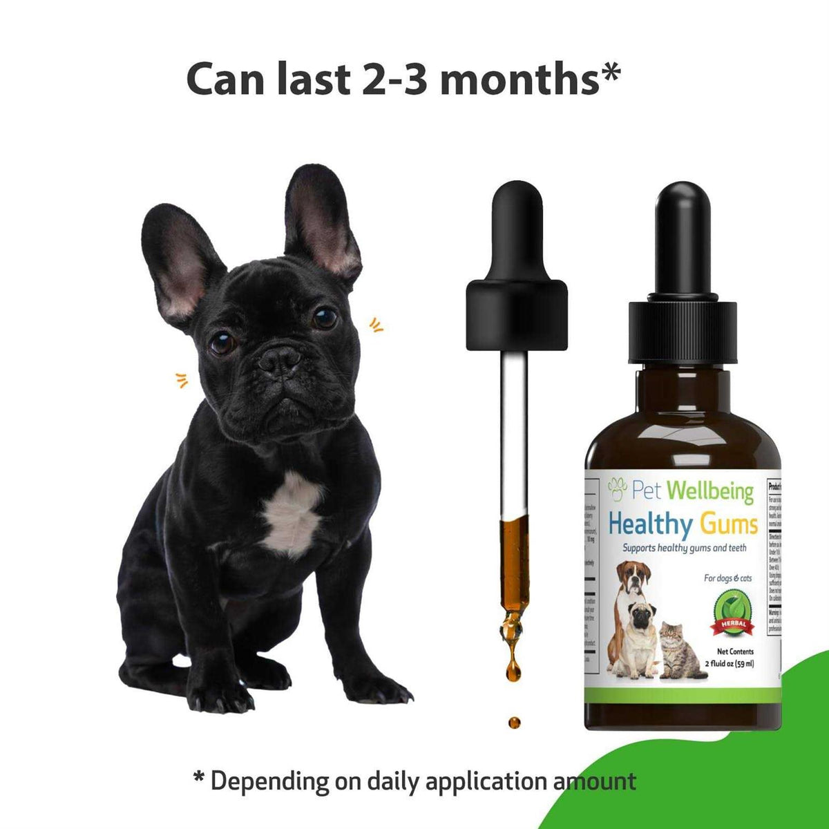 Healthy Gums for Feline Periodontal Health B4260
