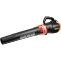 Electric Leaf Blower C214969