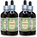 Usnea Glycerite Alcohol-FREE Liquid Extract 4x120 ml F828113