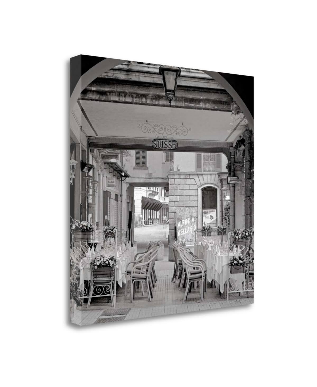 Fine Art Giclee Print V705129