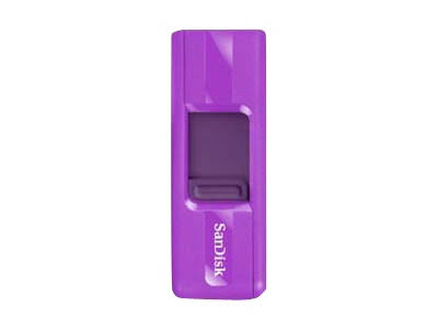 8 GB USB 2.0 Purple USB Flash Drive U2276