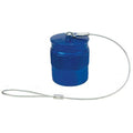 Dust Cap I6256