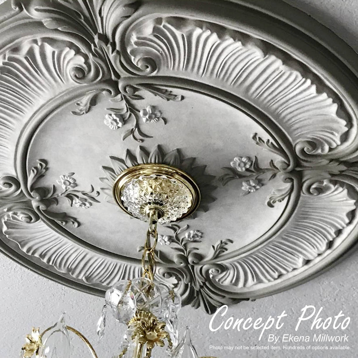 Ceiling Medallion B2846