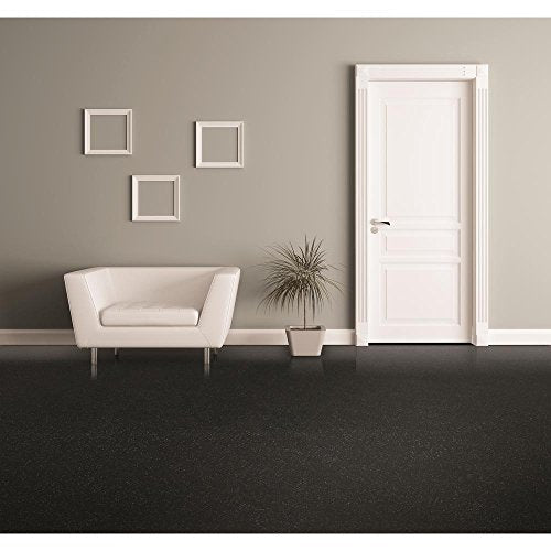 1 Car Garage Floor Coating Kit Pearl Black D684