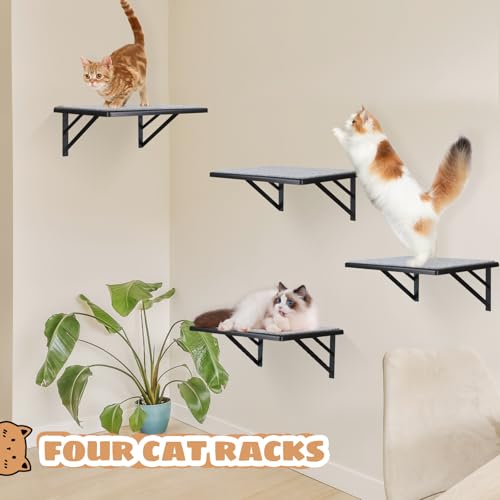 Black Cat Wall Shelves Set of 2 K534905