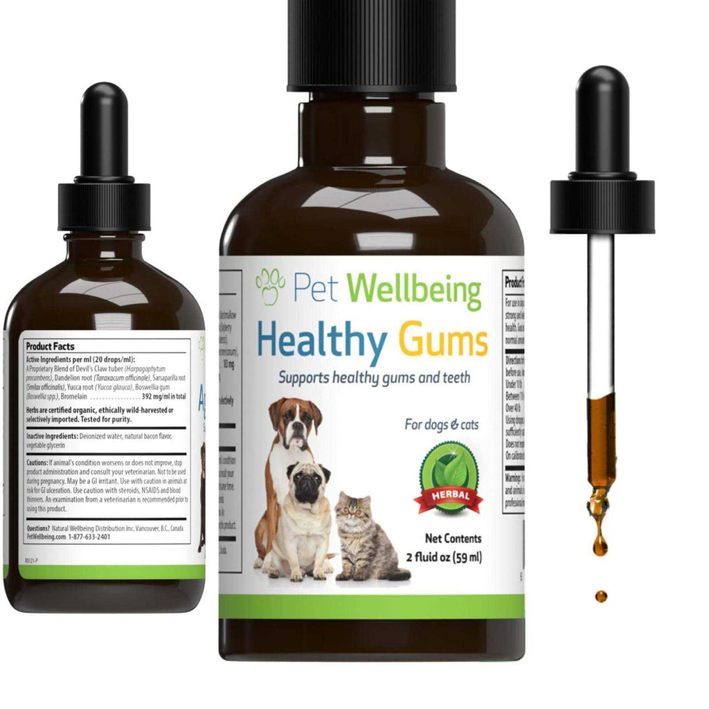 Healthy Gums for Feline Periodontal Health B4260