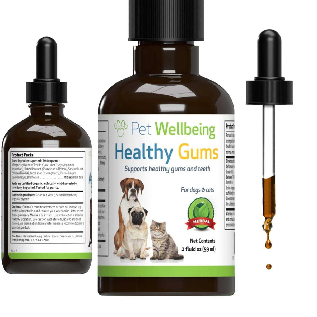 Healthy Gums for Feline Periodontal Health B4260