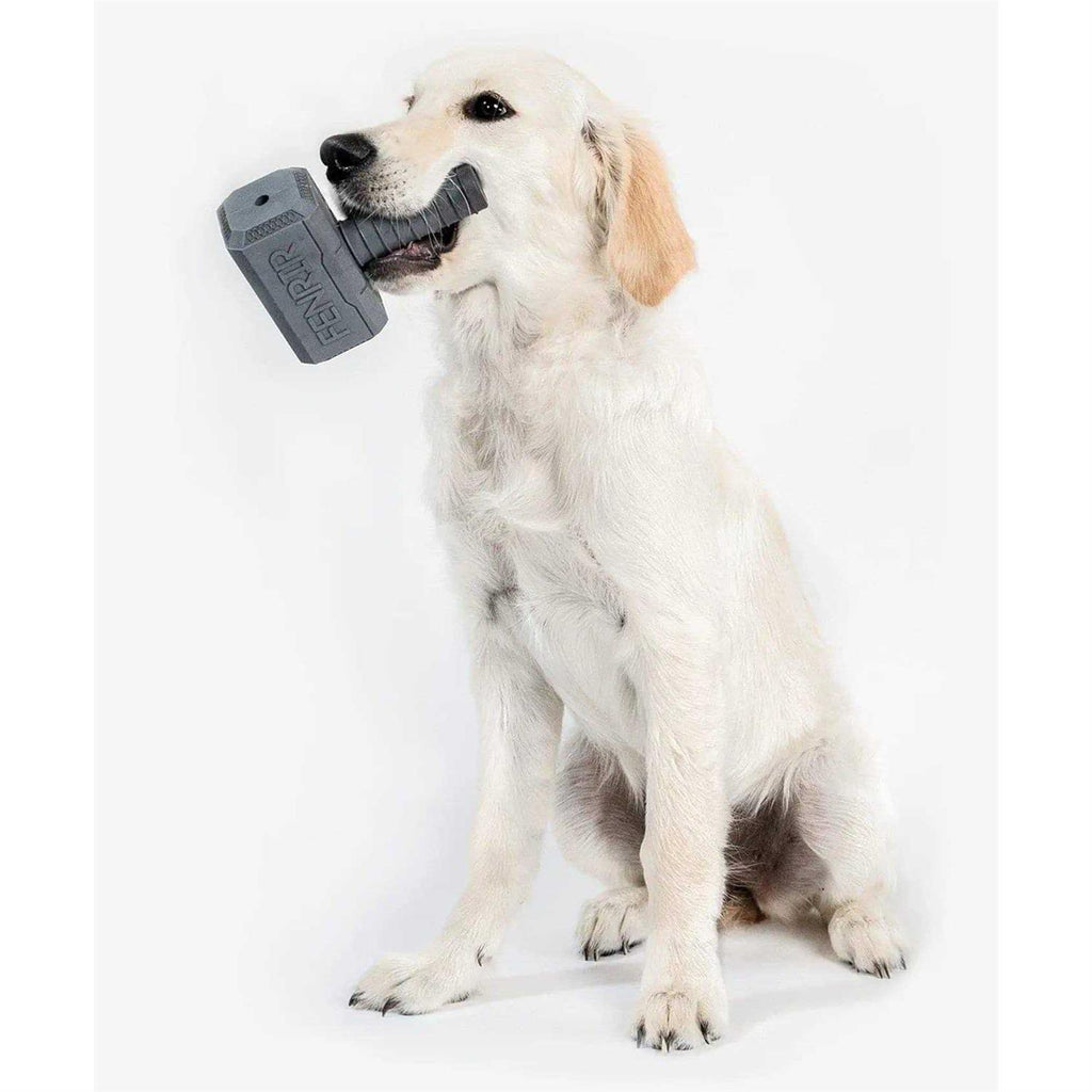 Hammer Chew Toy C595707