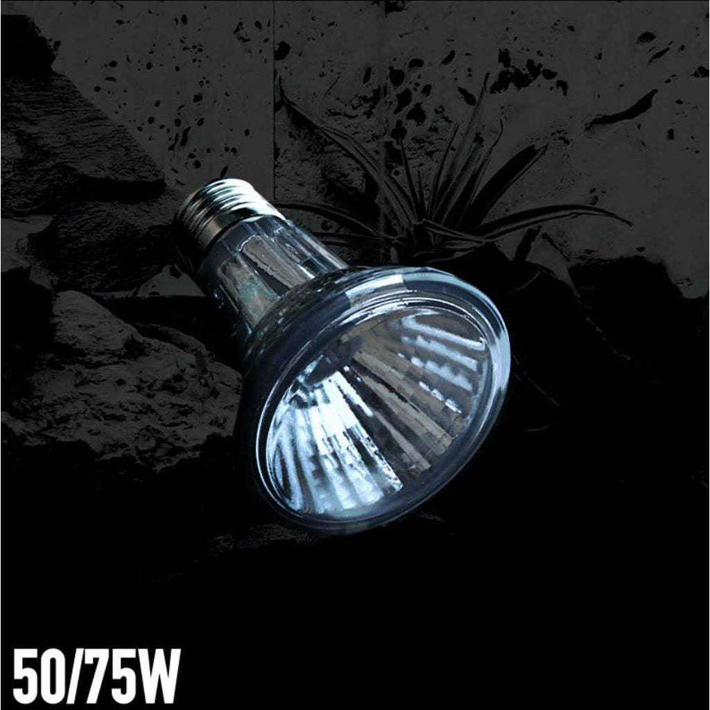 Halogen Heat Lamp J216