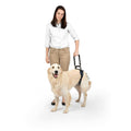 Dog Rear Harness W9310
