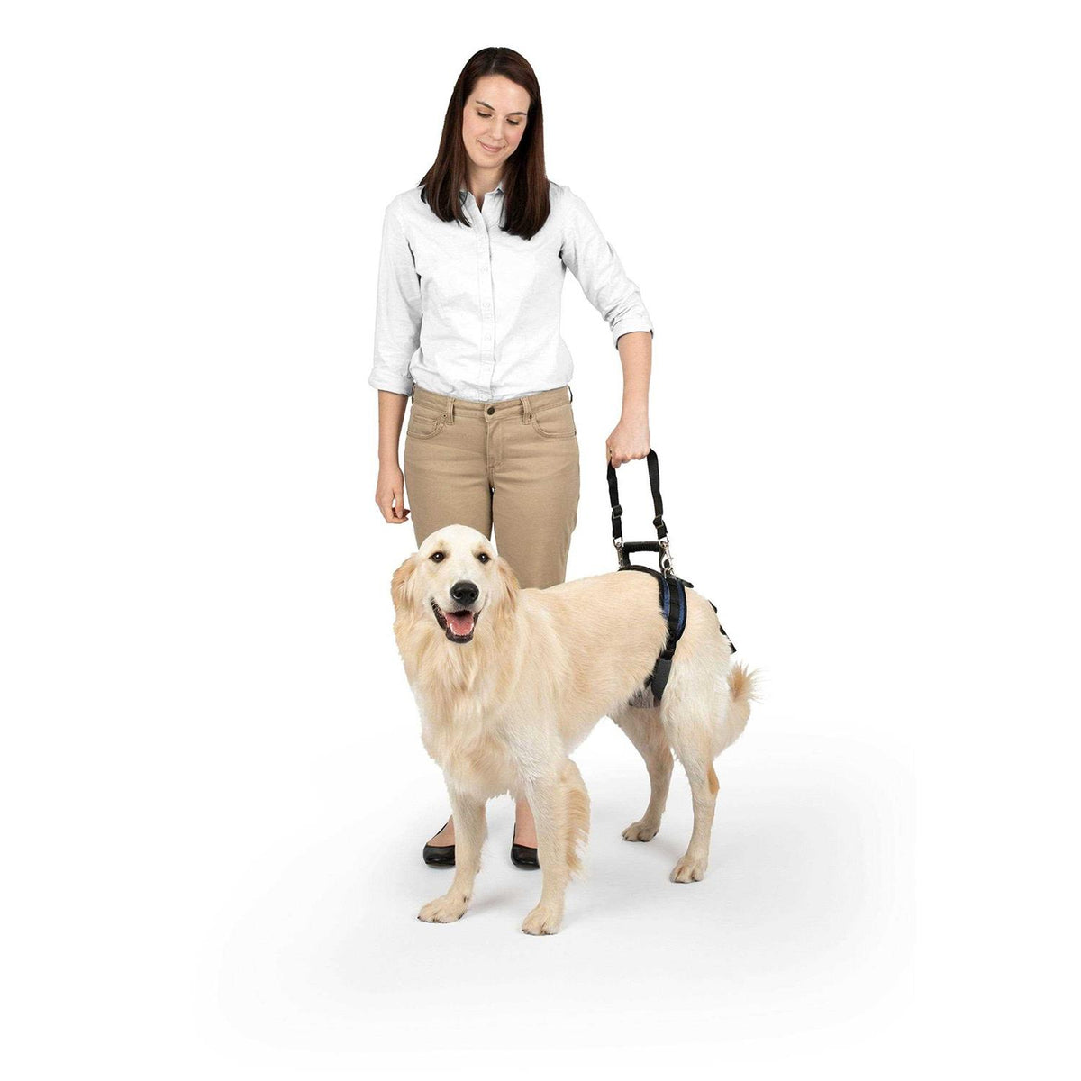 Dog Rear Harness W9310