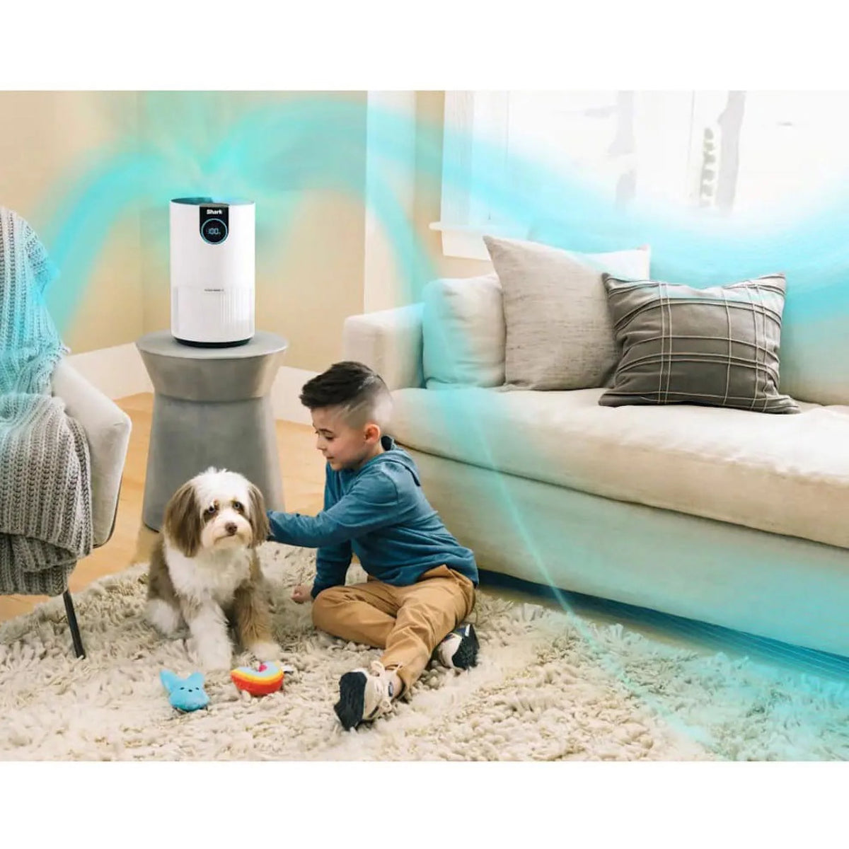 Air Purifier With True HEPA U892466