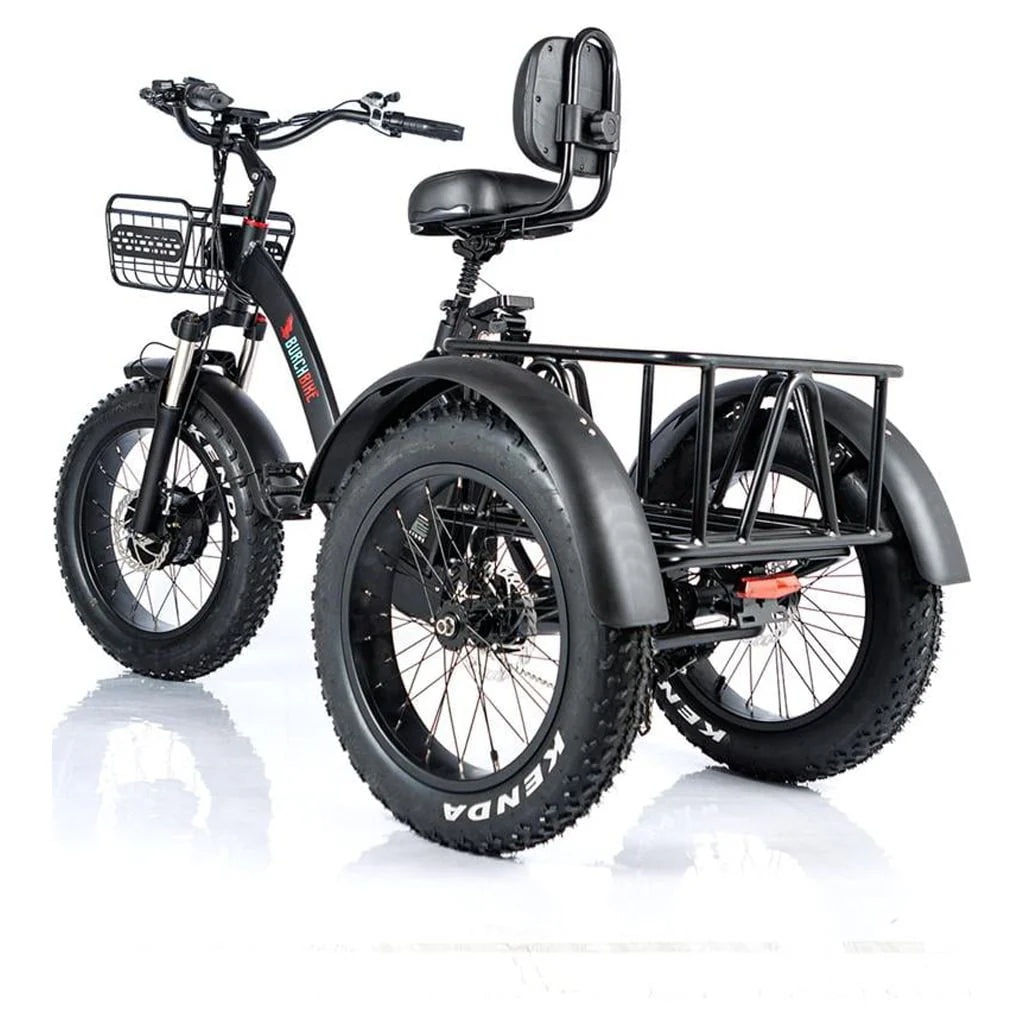 24 Inch Fat Tire 3 Wheel Electric Tricycle Q40165