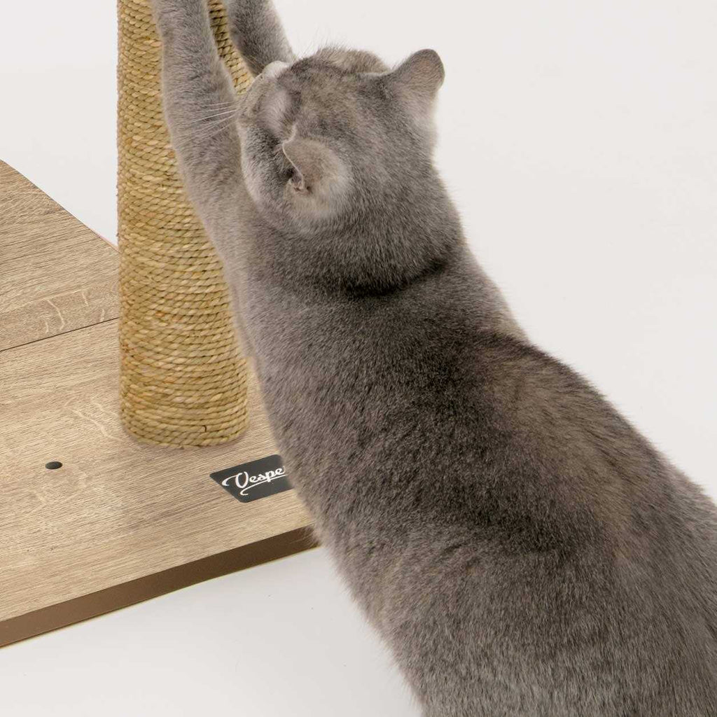 Cat Tree H717114