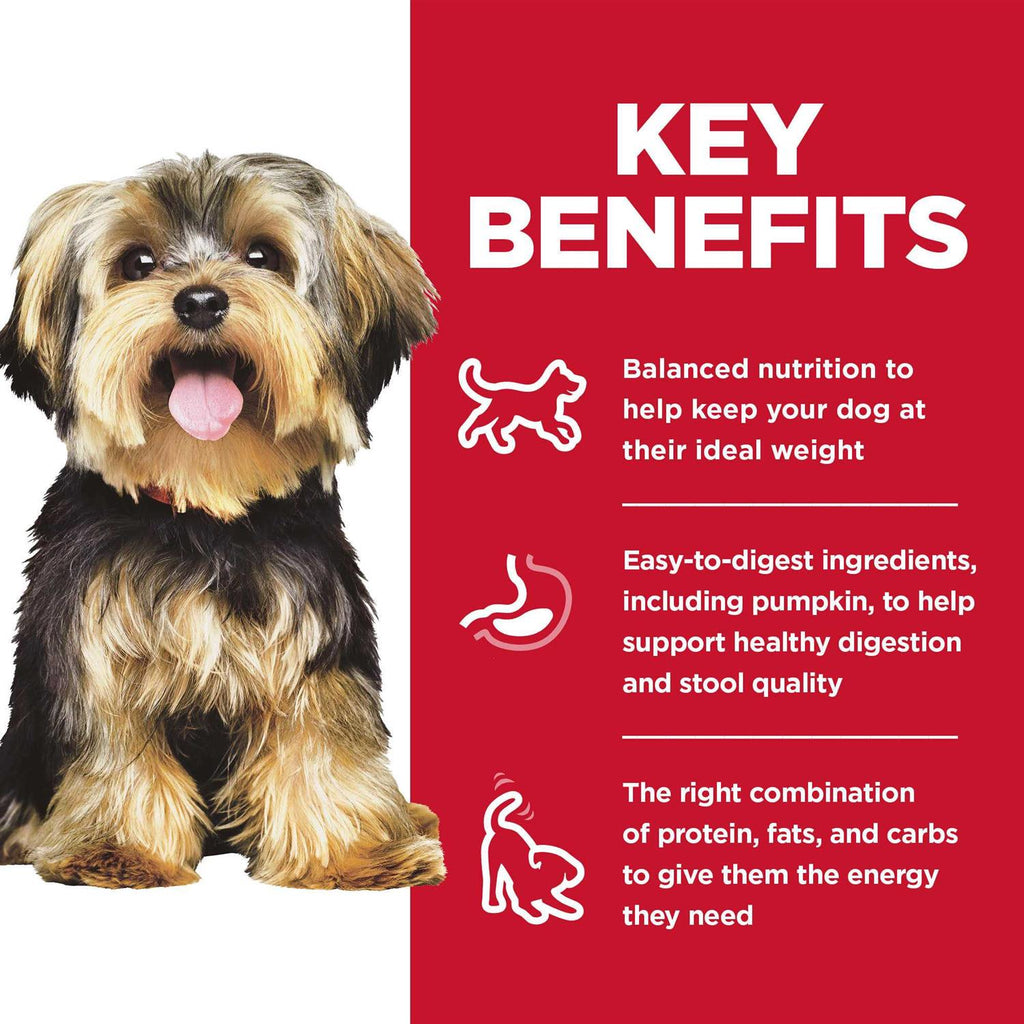 Adult Small Meal Rice Dry Dog Food W97768