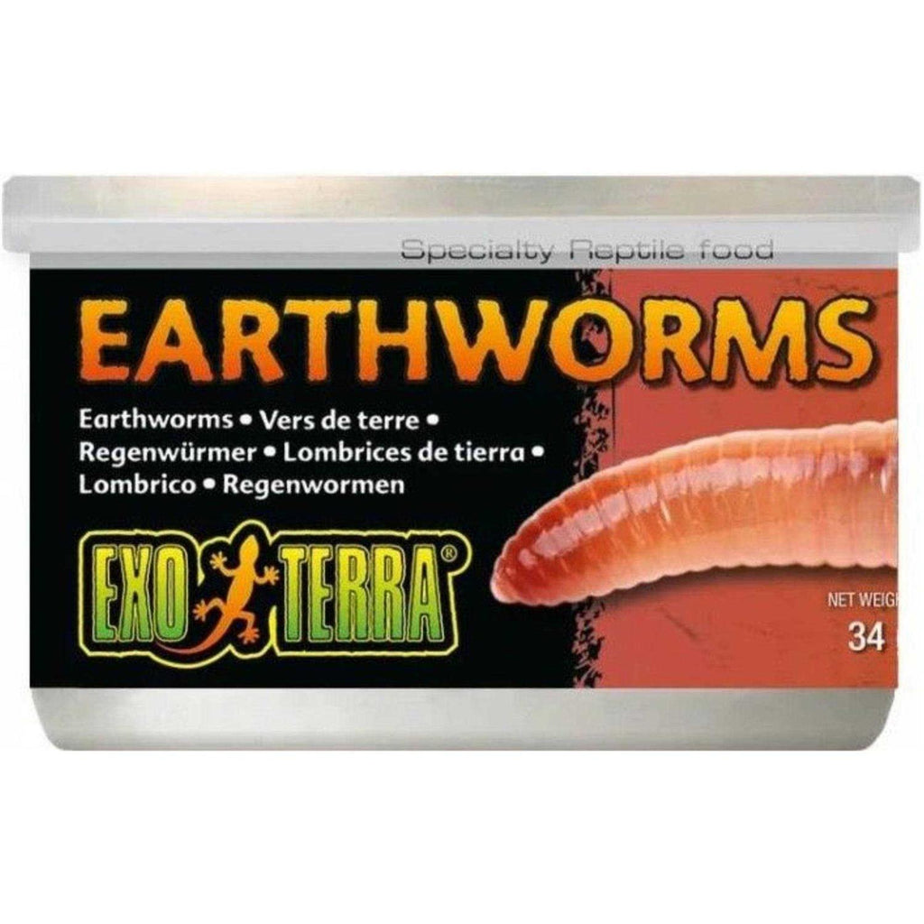 Canned Earthworms Reptile Food N468324
