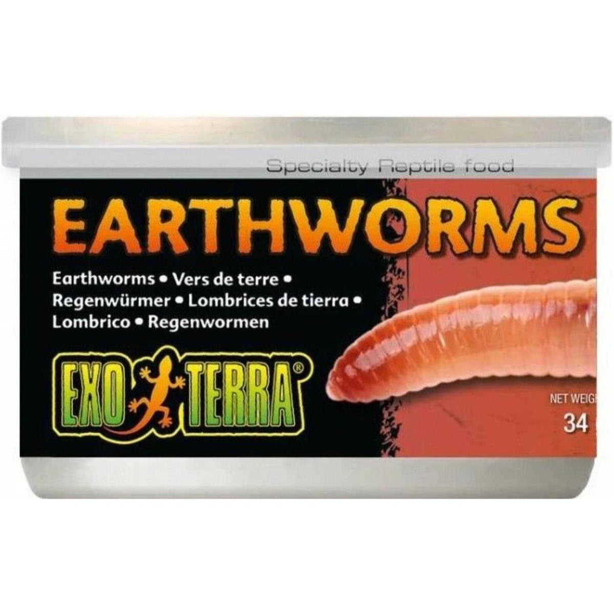 Canned Earthworms Reptile Food N468324