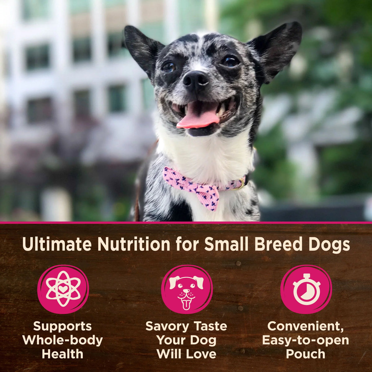 Grain Free Small Breed Wet Dog Food, Shredded Chicken & Lamb in Gravy, 3-Ounce (Pack of 12) U487121