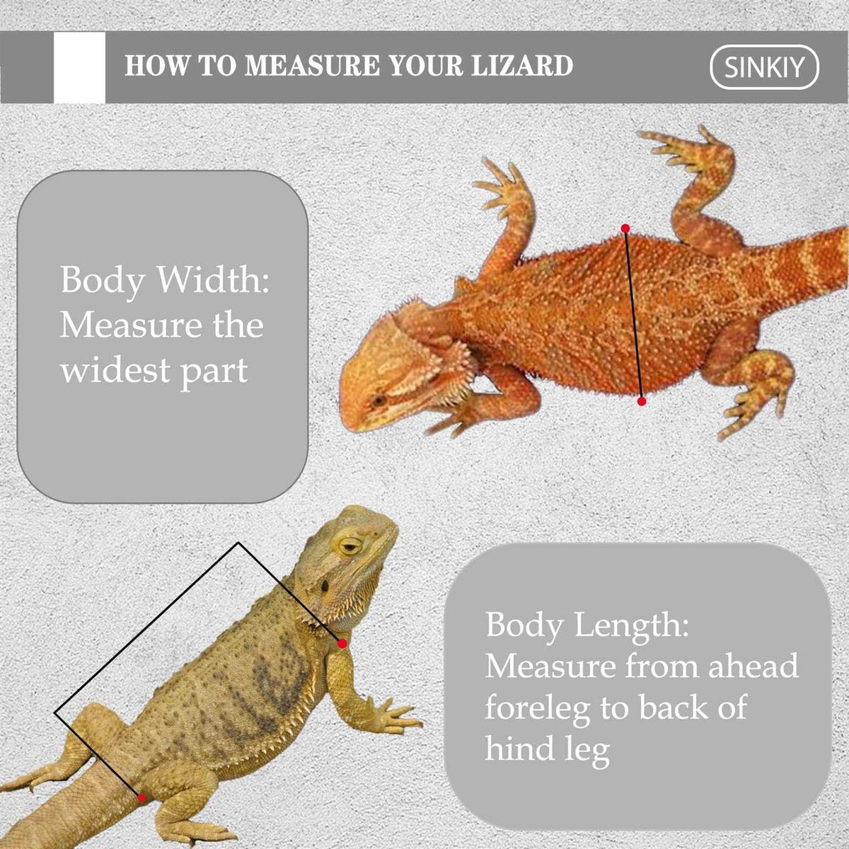 Bearded Dragon Sling Carrier Leather Reptile Pouch M6722