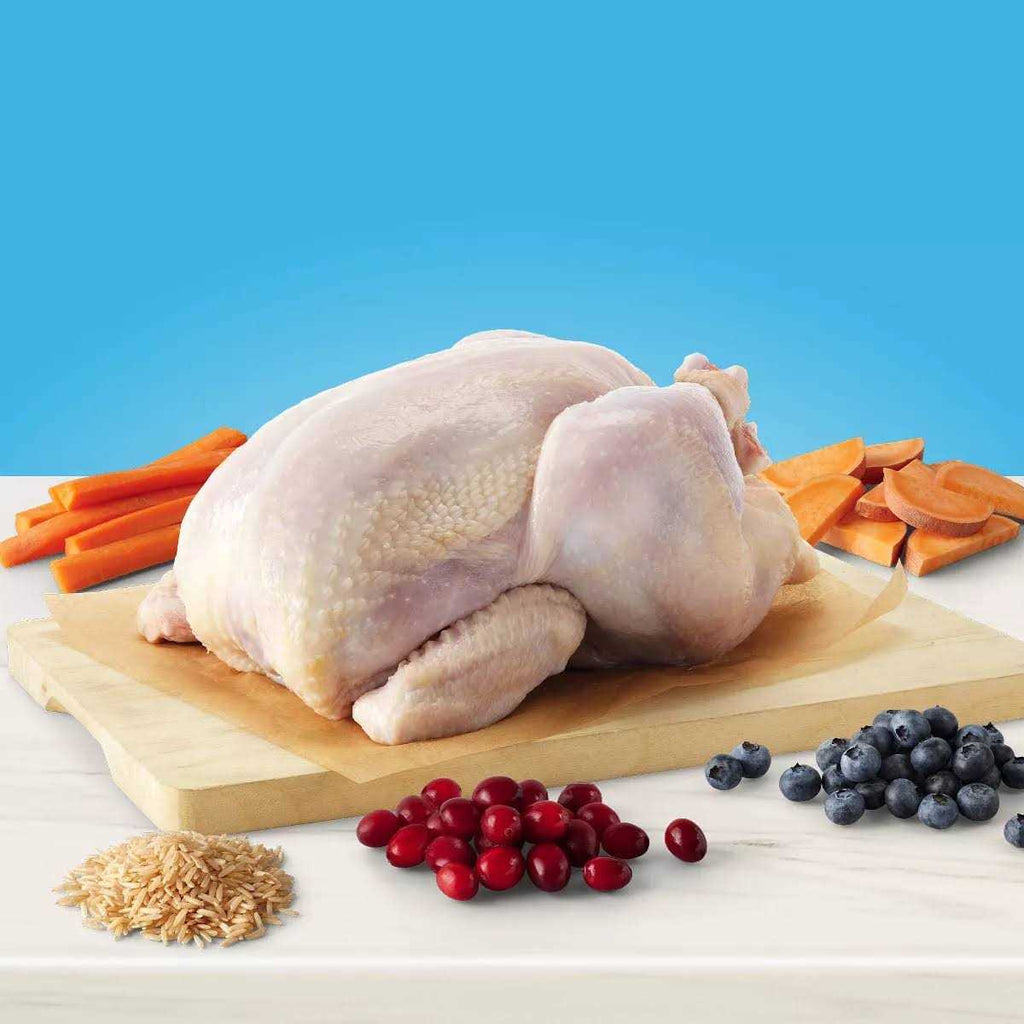 Natural Chicken Indoor Adult Dry Cat Food D2422