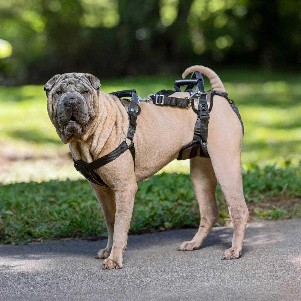 Dog Rear Harness W9310