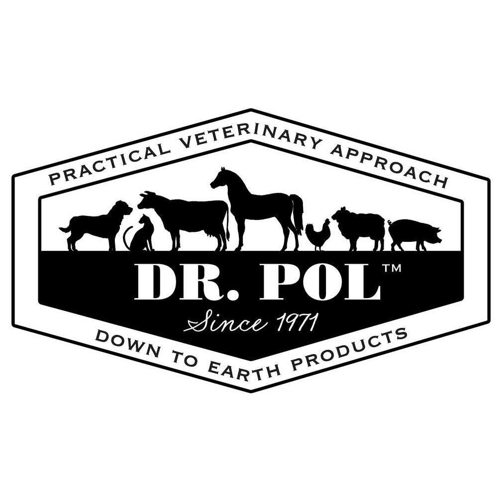 High Energy Chicken Recipe Dry Dog Food R44248