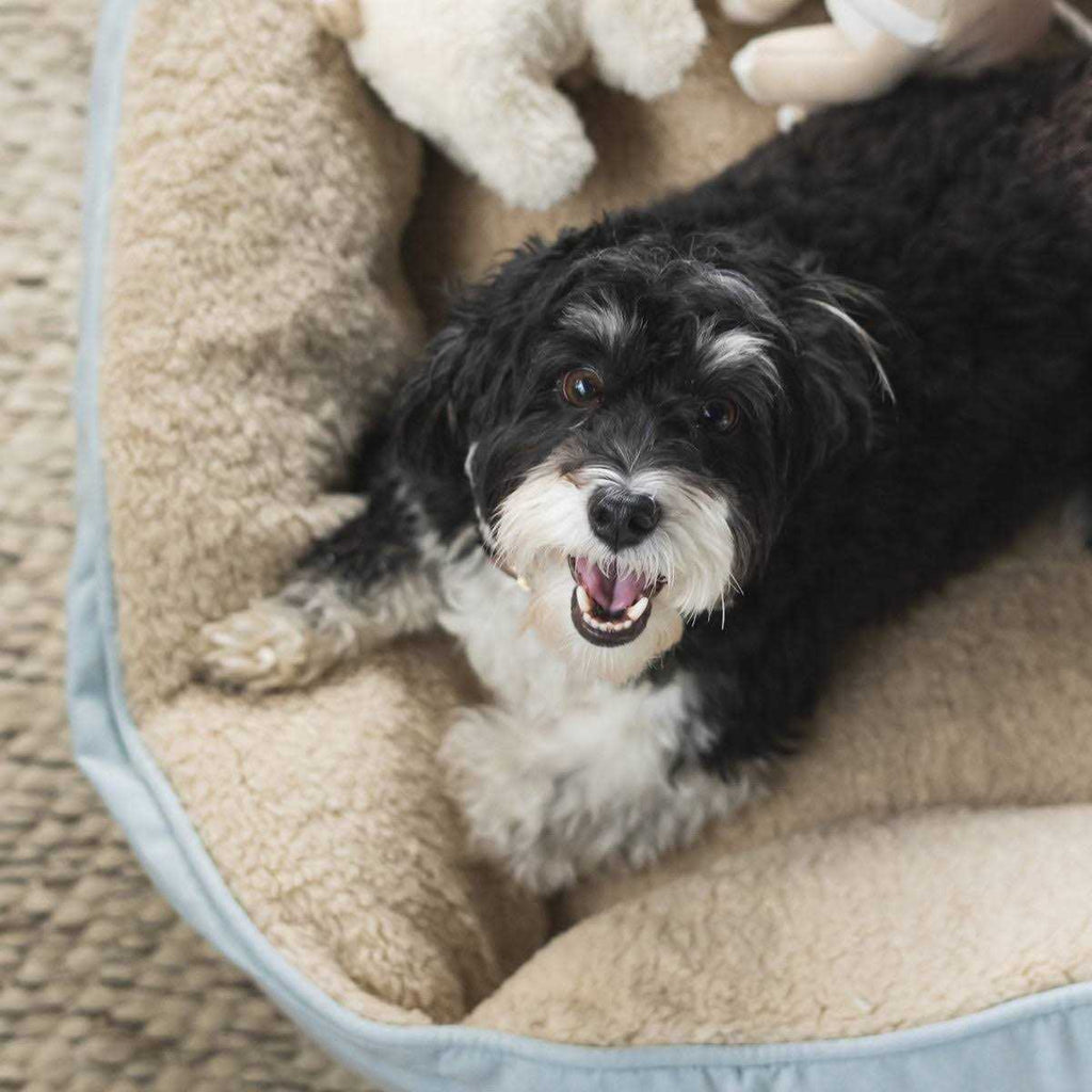 Blue Chambray Cozy Sherpa Pet Bed D31542