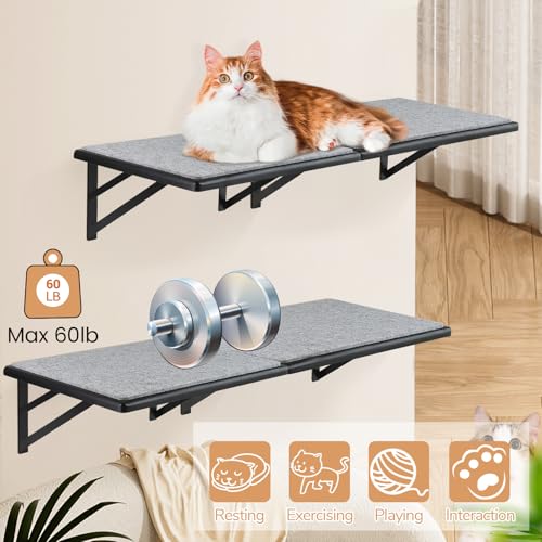 Black Cat Wall Shelves Set of 2 K534905
