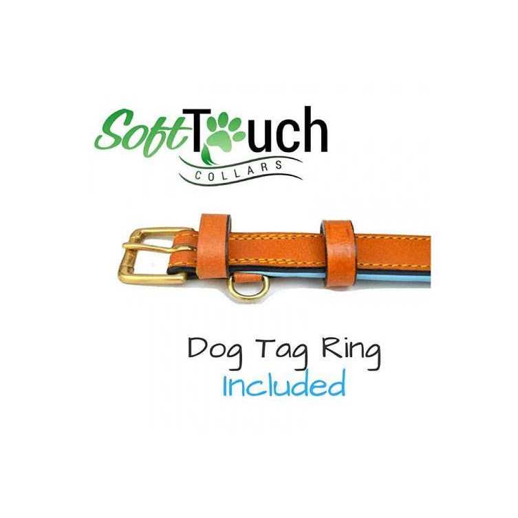 Leather Padded Dog Collar O942