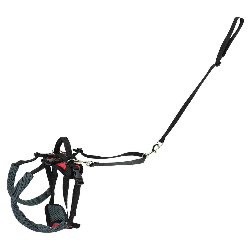 Dog Rear Harness W9310