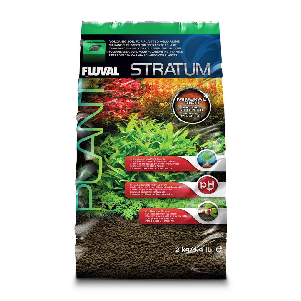 Plant and Shrimp Stratum U8751