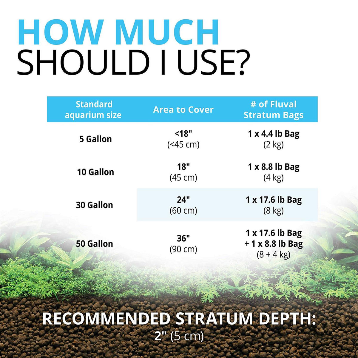 Plant and Shrimp Stratum U8751