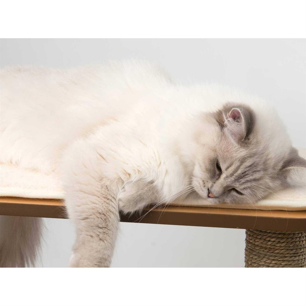 Cat Tree H717114