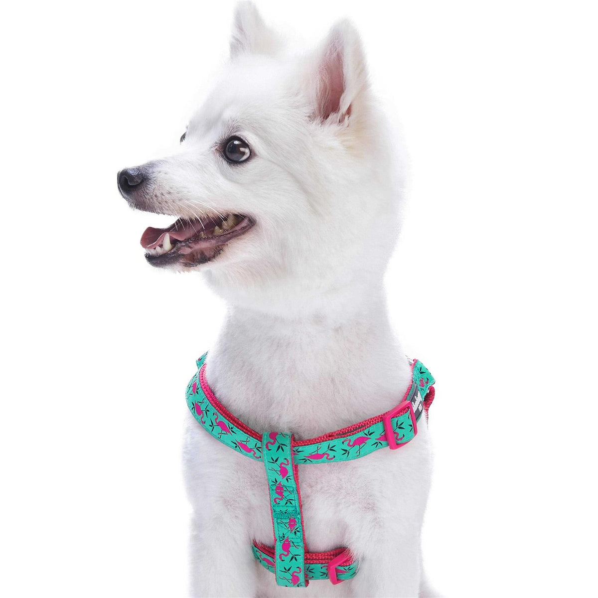Dog Harness P93868