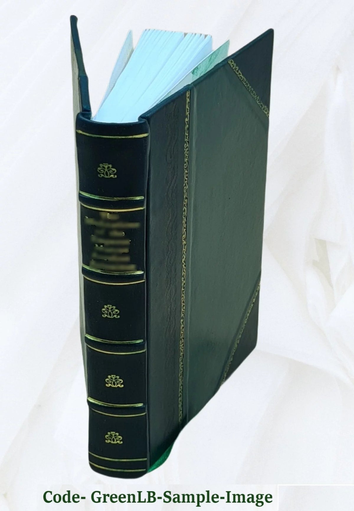 Leather Bound T607
