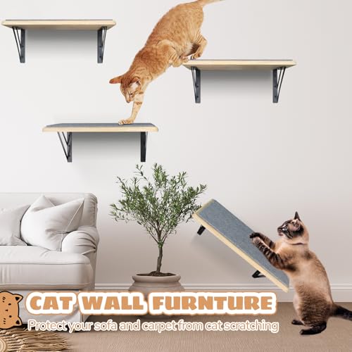 Black Cat Wall Shelves Set of 2 K534905