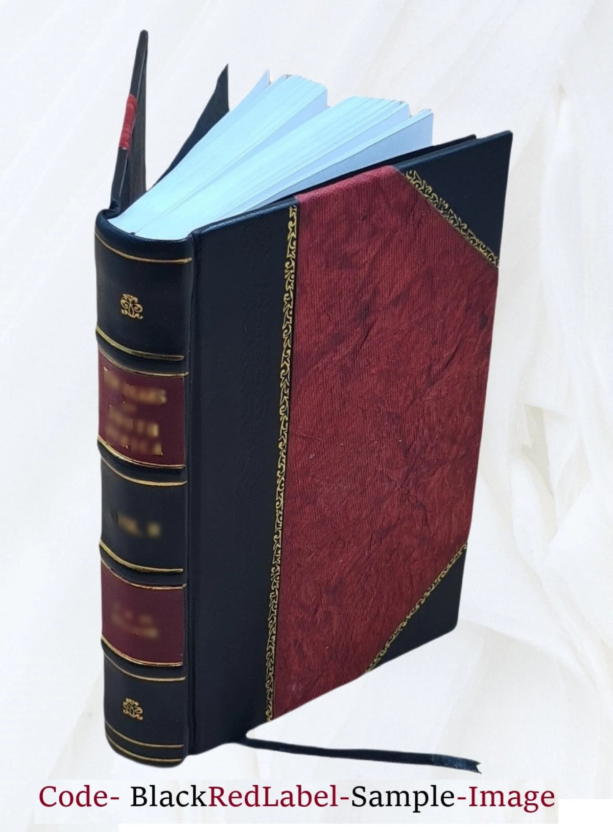 Leather Bound V171824