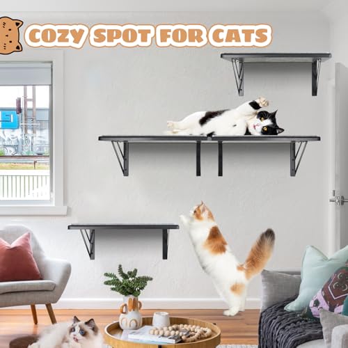 Black Cat Wall Shelves Set of 2 K534905